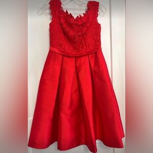 Charming Scarlet Lace Kids Dress